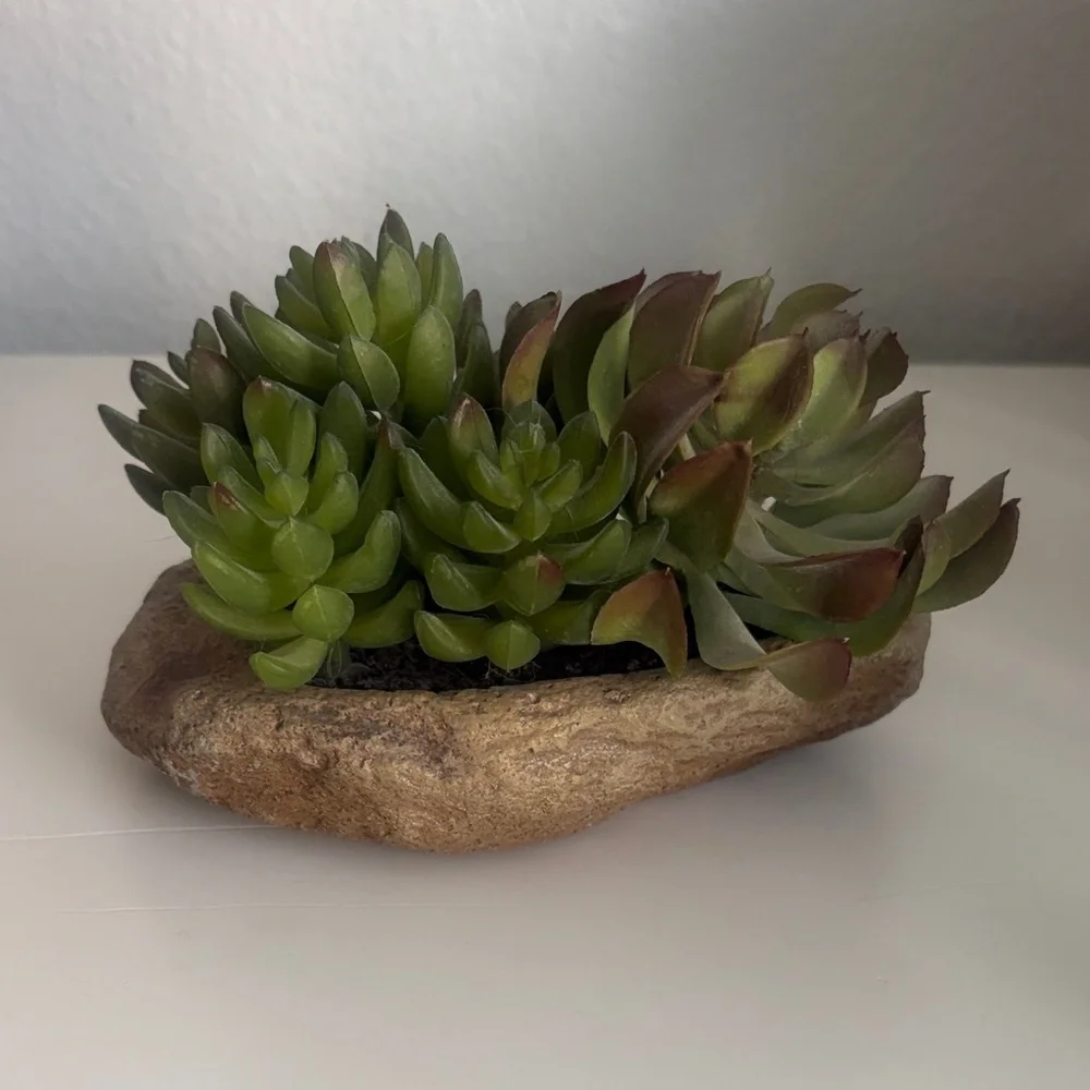 Pottery Barn Faux Succulent & Stone Arrangememt